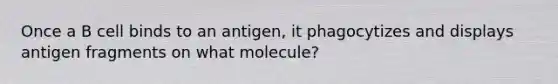 Once a B cell binds to an antigen, it phagocytizes and displays antigen fragments on what molecule?