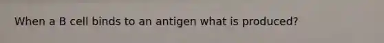 When a B cell binds to an antigen what is produced?