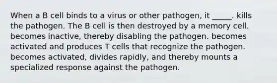 When a B cell binds to a virus or other pathogen, it _____. kills the pathogen. The B cell is then destroyed by a memory cell. becomes inactive, thereby disabling the pathogen. becomes activated and produces T cells that recognize the pathogen. becomes activated, divides rapidly, and thereby mounts a specialized response against the pathogen.