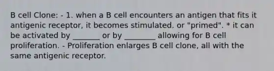 B cell Clone: - 1. when a B cell encounters an antigen that fits it antigenic receptor, it becomes stimulated. or "primed". * it can be activated by _______ or by ________ allowing for B cell proliferation. - Proliferation enlarges B cell clone, all with the same antigenic receptor.