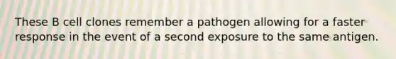 These B cell clones remember a pathogen allowing for a faster response in the event of a second exposure to the same antigen.