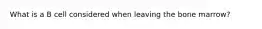 What is a B cell considered when leaving the bone marrow?