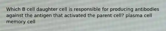 Which B cell daughter cell is responsible for producing antibodies against the antigen that activated the parent cell? plasma cell memory cell