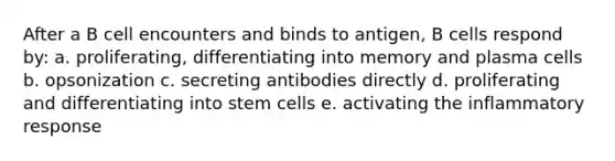 After a B cell encounters and binds to antigen, B cells respond by: a. proliferating, differentiating into memory and plasma cells b. opsonization c. secreting antibodies directly d. proliferating and differentiating into stem cells e. activating the inflammatory response