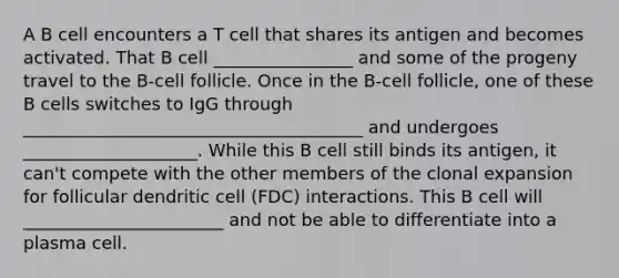 A B cell encounters a T cell that shares its antigen and becomes activated. That B cell ________________ and some of the progeny travel to the B-cell follicle. Once in the B-cell follicle, one of these B cells switches to IgG through _______________________________________ and undergoes ____________________. While this B cell still binds its antigen, it can't compete with the other members of the clonal expansion for follicular dendritic cell (FDC) interactions. This B cell will _______________________ and not be able to differentiate into a plasma cell.