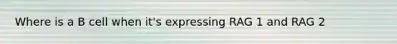 Where is a B cell when it's expressing RAG 1 and RAG 2