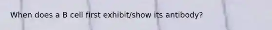 When does a B cell first exhibit/show its antibody?