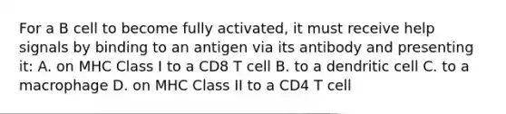 For a B cell to become fully activated, it must receive help signals by binding to an antigen via its antibody and presenting it: A. on MHC Class I to a CD8 T cell B. to a dendritic cell C. to a macrophage D. on MHC Class II to a CD4 T cell