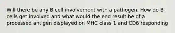 Will there be any B cell involvement with a pathogen. How do B cells get involved and what would the end result be of a processed antigen displayed on MHC class 1 and CD8 responding