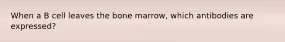 When a B cell leaves the bone marrow, which antibodies are expressed?