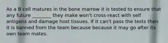 As a B cell matures in the bone marrow it is tested to ensure that any future ________ they make won't cross-react with self antigens and damage host tissues. If it can't pass the tests then it is banned from the team because because it may go after its own team mates.