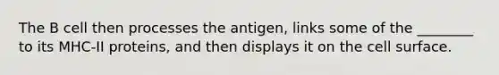 The B cell then processes the antigen, links some of the ________ to its MHC-II proteins, and then displays it on the cell surface.