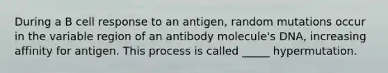 During a B cell response to an antigen, random mutations occur in the variable region of an antibody molecule's DNA, increasing affinity for antigen. This process is called _____ hypermutation.