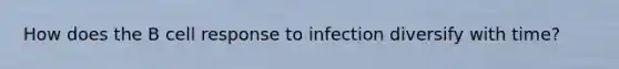 How does the B cell response to infection diversify with time?