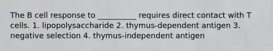 The B cell response to __________ requires direct contact with T cells. 1. lipopolysaccharide 2. thymus-dependent antigen 3. negative selection 4. thymus-independent antigen