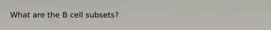 What are the B cell subsets?