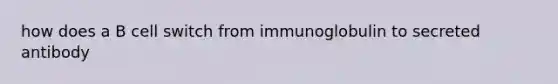 how does a B cell switch from immunoglobulin to secreted antibody