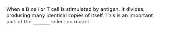 When a B cell or T cell is stimulated by antigen, it divides, producing many identical copies of itself. This is an important part of the _______ selection model.