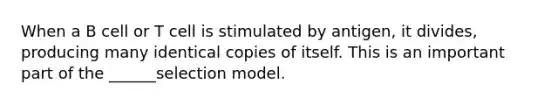 When a B cell or T cell is stimulated by antigen, it divides, producing many identical copies of itself. This is an important part of the ______selection model.