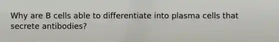 Why are B cells able to differentiate into plasma cells that secrete antibodies?