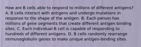 How are B cells able to respond to millions of different antigens? A. B cells interact with antigens and undergo mutations in response to the shape of the antigen. B. Each person has millions of gene segments that create different antigen-binding sites. C. Each individual B cell is capable of responding to hundreds of different antigens. D. B cells randomly rearrange immunoglobulin genes to make unique antigen-binding sites.