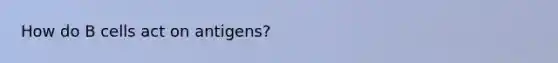 How do B cells act on antigens?