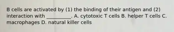 B cells are activated by (1) the binding of their antigen and (2) interaction with __________. A. cytotoxic T cells B. helper T cells C. macrophages D. natural killer cells