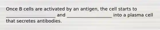 Once B cells are activated by an antigen, the cell starts to ______________________ and ____________________ into a plasma cell that secretes antibodies.