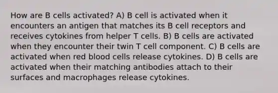 How are B cells activated? A) B cell is activated when it encounters an antigen that matches its B cell receptors and receives cytokines from helper T cells. B) B cells are activated when they encounter their twin T cell component. C) B cells are activated when red blood cells release cytokines. D) B cells are activated when their matching antibodies attach to their surfaces and macrophages release cytokines.