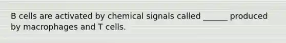 B cells are activated by chemical signals called ______ produced by macrophages and T cells.