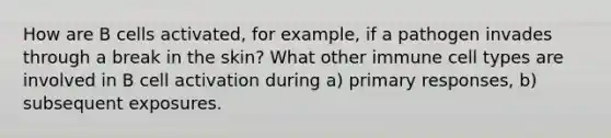 How are B cells activated, for example, if a pathogen invades through a break in the skin? What other immune cell types are involved in B cell activation during a) primary responses, b) subsequent exposures.