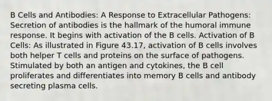 B Cells and Antibodies: A Response to Extracellular Pathogens: Secretion of antibodies is the hallmark of the humoral immune response. It begins with activation of the B cells. Activation of B Cells: As illustrated in Figure 43.17, activation of B cells involves both helper T cells and proteins on the surface of pathogens. Stimulated by both an antigen and cytokines, the B cell proliferates and differentiates into memory B cells and antibody secreting plasma cells.