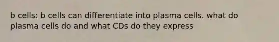 b cells: b cells can differentiate into plasma cells. what do plasma cells do and what CDs do they express