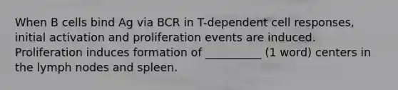 When B cells bind Ag via BCR in T-dependent cell responses, initial activation and proliferation events are induced. Proliferation induces formation of __________ (1 word) centers in the lymph nodes and spleen.