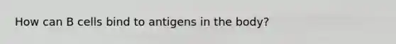 How can B cells bind to antigens in the body?