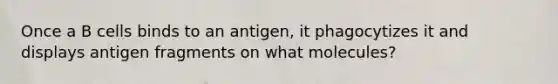 Once a B cells binds to an antigen, it phagocytizes it and displays antigen fragments on what molecules?