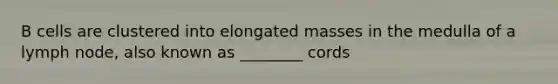 B cells are clustered into elongated masses in the medulla of a lymph node, also known as ________ cords