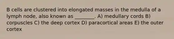 B cells are clustered into elongated masses in the medulla of a lymph node, also known as ________. A) medullary cords B) corpuscles C) the deep cortex D) paracortical areas E) the outer cortex