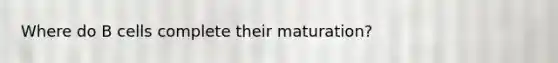 Where do B cells complete their maturation?