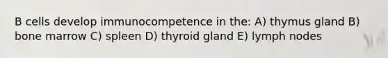 B cells develop immunocompetence in the: A) thymus gland B) bone marrow C) spleen D) thyroid gland E) lymph nodes