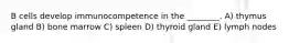 B cells develop immunocompetence in the ________. A) thymus gland B) bone marrow C) spleen D) thyroid gland E) lymph nodes