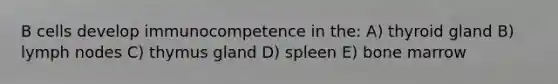 B cells develop immunocompetence in the: A) thyroid gland B) lymph nodes C) thymus gland D) spleen E) bone marrow