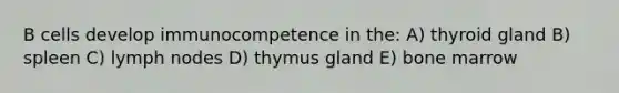 B cells develop immunocompetence in the: A) thyroid gland B) spleen C) lymph nodes D) thymus gland E) bone marrow