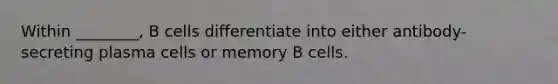 Within ________, B cells differentiate into either antibody-secreting plasma cells or memory B cells.