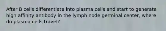 After B cells differentiate into plasma cells and start to generate high affinity antibody in the lymph node germinal center, where do plasma cells travel?