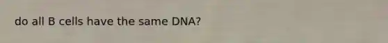 do all B cells have the same DNA?