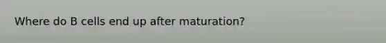 Where do B cells end up after maturation?