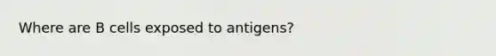 Where are B cells exposed to antigens?