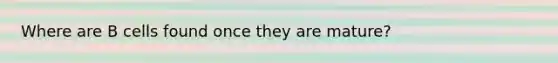 Where are B cells found once they are mature?