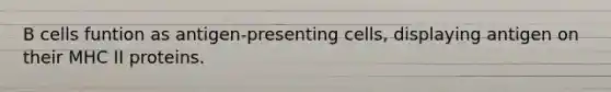 B cells funtion as antigen-presenting cells, displaying antigen on their MHC II proteins.